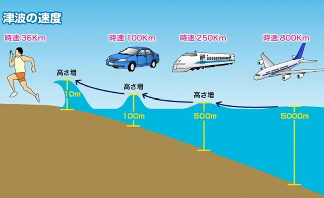 津波の速さ【提供：内閣府】　